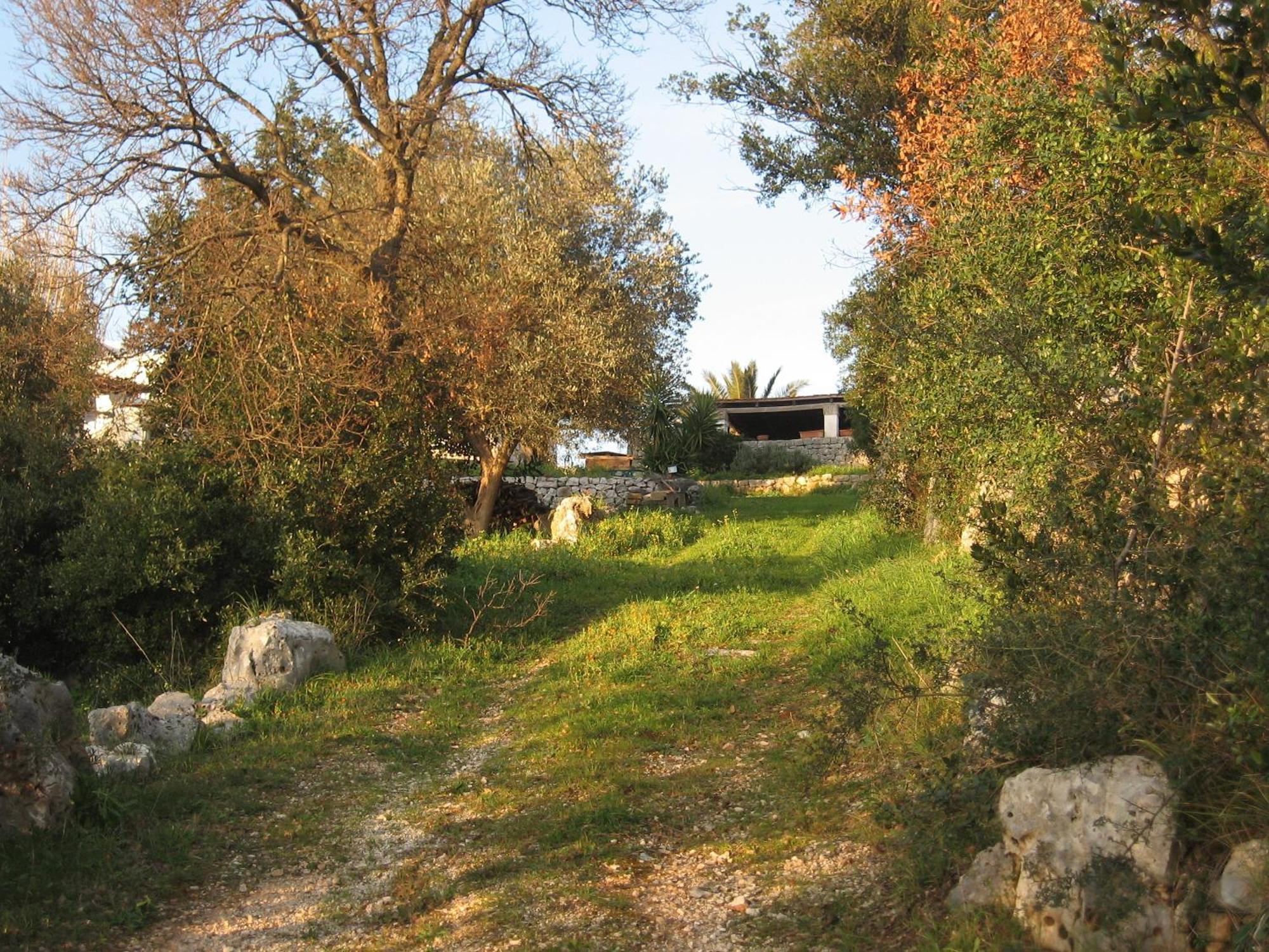 B&B Cinque Stalle Monopoli Exteriör bild